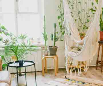 A room full of indoor plants looks so aesthetic