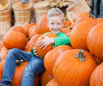 A child sitting on a pile of pumpkins of different sizes, also holding a pumpkin.