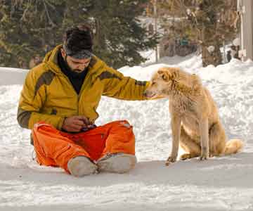 A man sitting in the snow, reaching over to pet his dog.
