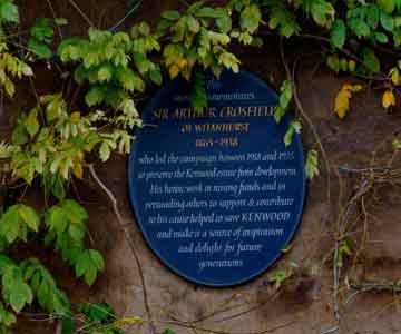 Blue stone plaque on wall, wrapped in soft green vines.