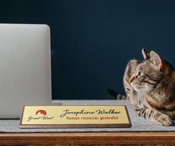Custom red alder desk wedge with gold plate with custom text and logo near cat and laptop.