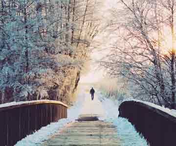 Snow-covered wooden bridge.