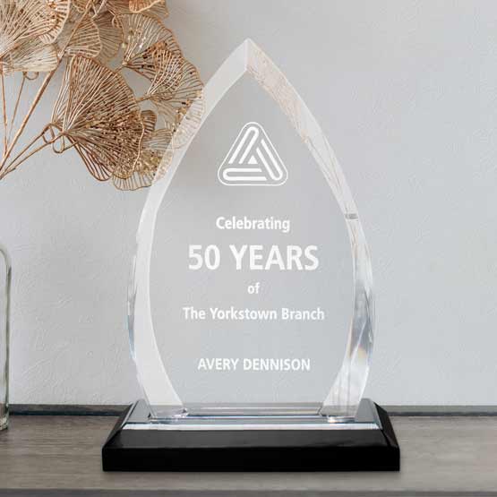 Custom Oval Crest Acrylic Award For Years Of Service With Logo And Name And Silver Mirror Base On Wood Shelf With Decor