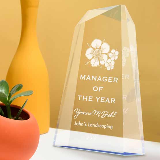 Custom Faceted Wedge Acrylic Award For Manager Of The Year With Logo And Name And Blue Foil On A White Shelf With Plant