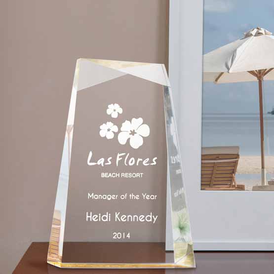 Custom Faceted Wedge Acrylic Award For Manager Of The Year With Logo And Name And Gold Foil On Wood Shelf With Picture Frame