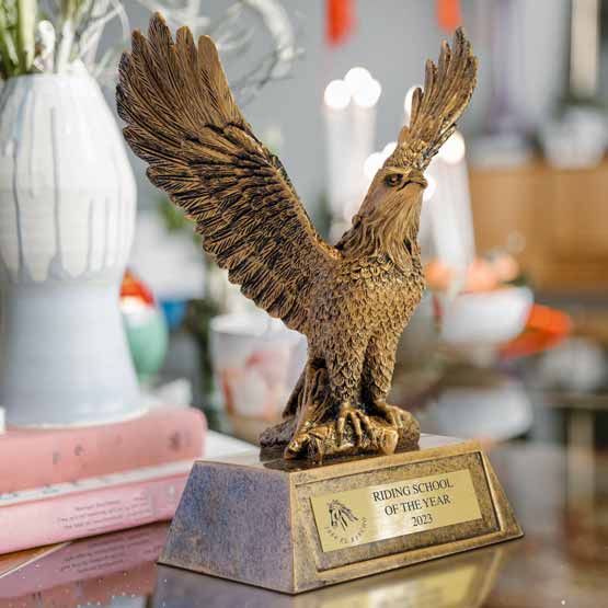 Custom Gold Resin Eagle Trophy For School Of The Year With Resin Base Standing On Living Room Stand With White Lamp