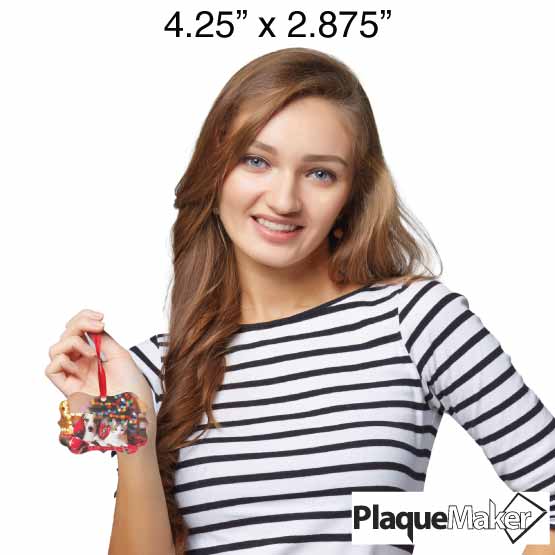 Size Guide With Woman Holding Custom Ornate Acrylic Ornament With Red Ribbon And Full Color Photo Of Dog And Cat