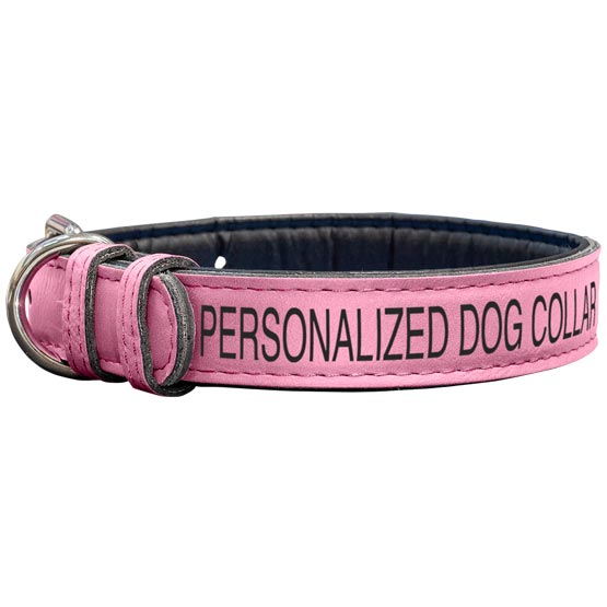 Custom Pink Faux Leather Dog Collar Laser Engraved To Show Customizable Areas For Text And Art Against A White Background