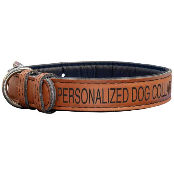 Custom Rawhide Faux Leather Dog Collar Laser Engraved To Show Customizable Areas For Text And Art Against A White Background