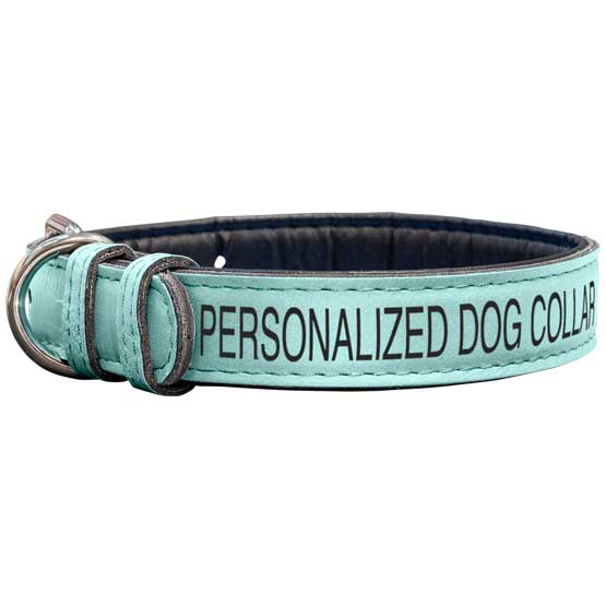 Custom Teal Faux Leather Dog Collar Laser Engraved To Show Customizable Areas For Text And Art Against A White Background