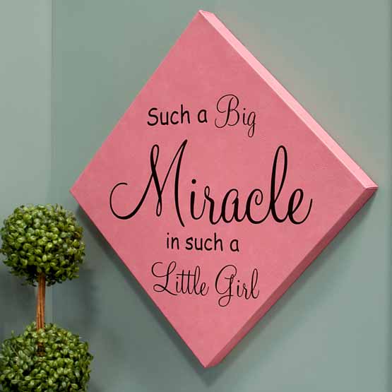 Pink Faux Leather Wrapped Square Canvas Engraved With Such A Big Miracle In Such A Little Girl Text Hanging On Wall By Plant