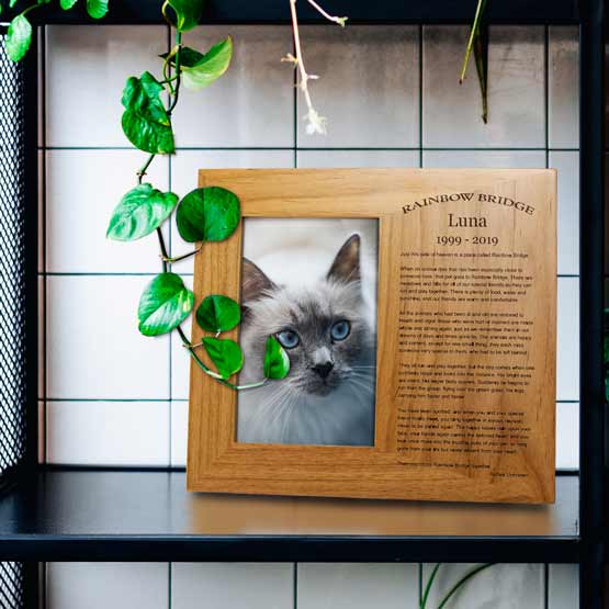 Red Alder Picture Frame With Cat Photo And Engraved With Name And Dates And Rainbow Bridge Memorial On Bookshelf With Plants