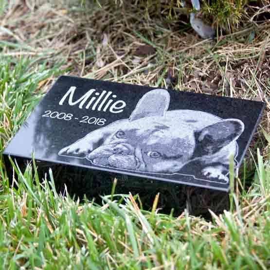 Custom Granite Headstone For Dog In Grass Near Mulch.