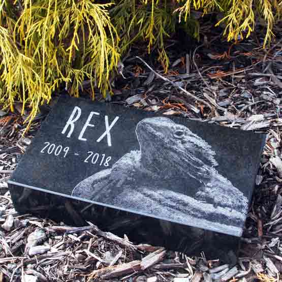 Custom Engraved Granite Headstone For Pets In Mulch Near Bush.