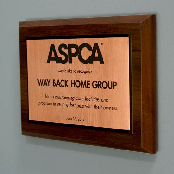 Custom Copper Plaque With Black Frame And Wood Board With Appreciation Message Hanging On Office Wall