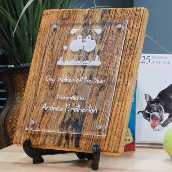 Floating Acrylic And Driftwood Plaque Award For Dog Walker Of The Year Standing On Shelf Via Easel Near Plant And Calendar