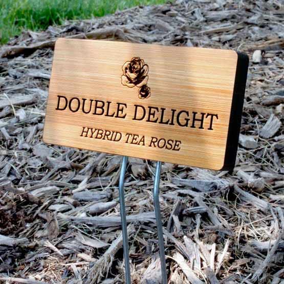 Bamboo Garden Sign Engraved With Flower Art And Double Delight Hybrid Tea Rose Text Displayed In Garden Via Metal Stand